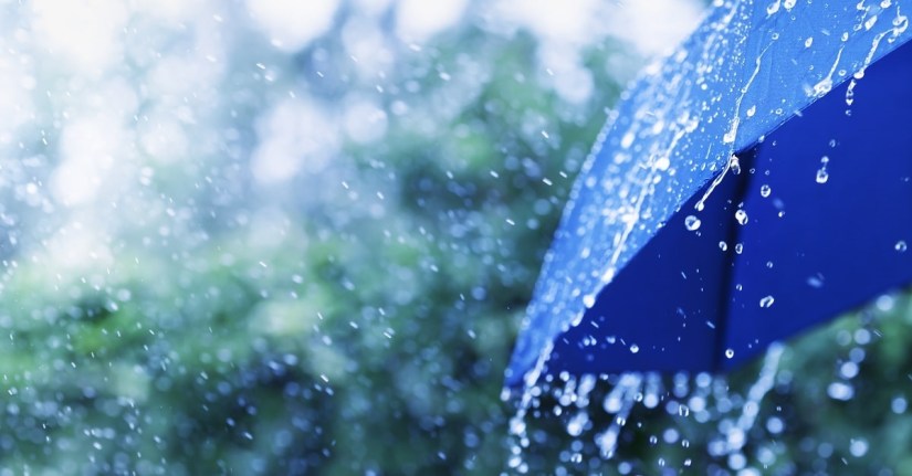 Happiness is in the Little&nbsp;Things